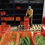 مدل کسب‌وکار راه‌اندازی فروشگاه اینترنتی مواد غذایی